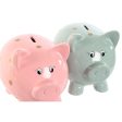 Money box Home ESPRIT Dolomite Pig 22 x 15,5 x 17,5 cm (2 Units) Online Hot Sale