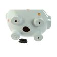 Money box Home ESPRIT Dolomite Pig 22 x 15,5 x 17,5 cm (2 Units) Online Hot Sale