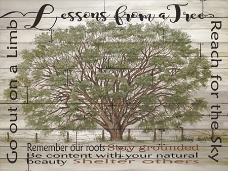 CIN251 - Lessons from a Tree - 16x12 Online Hot Sale