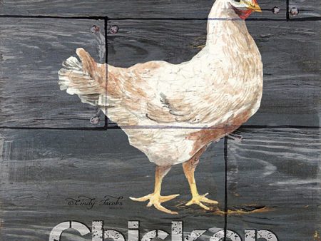 CIN153 - Chicken - 12x12 Online now